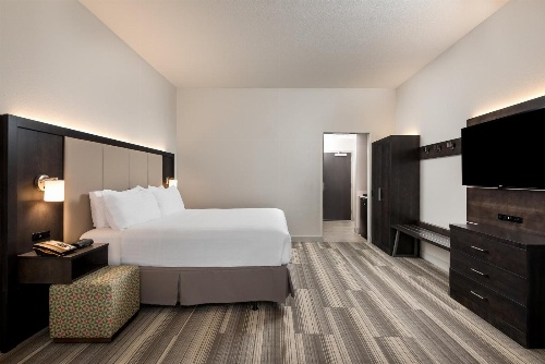 Holiday Inn Express & Suites Lakeland South image 2